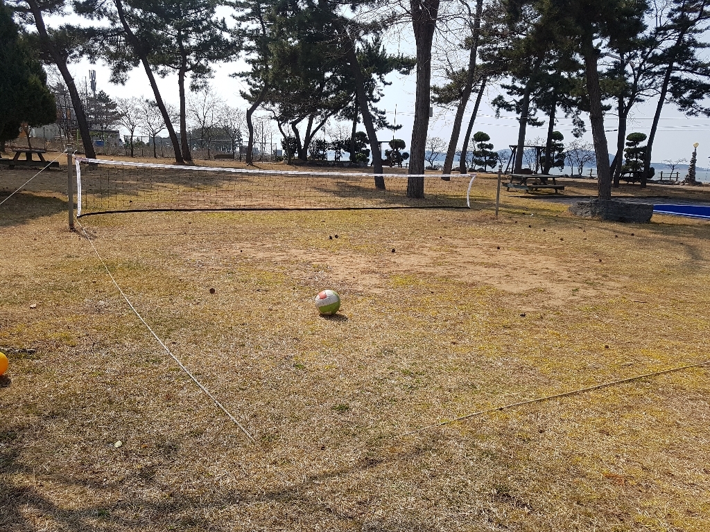 프로모릭스 족구 네트