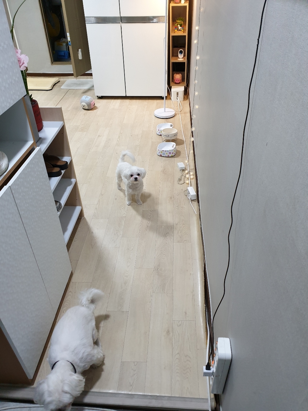 현대 수월바닥시트지 수월바닥시트 시트지