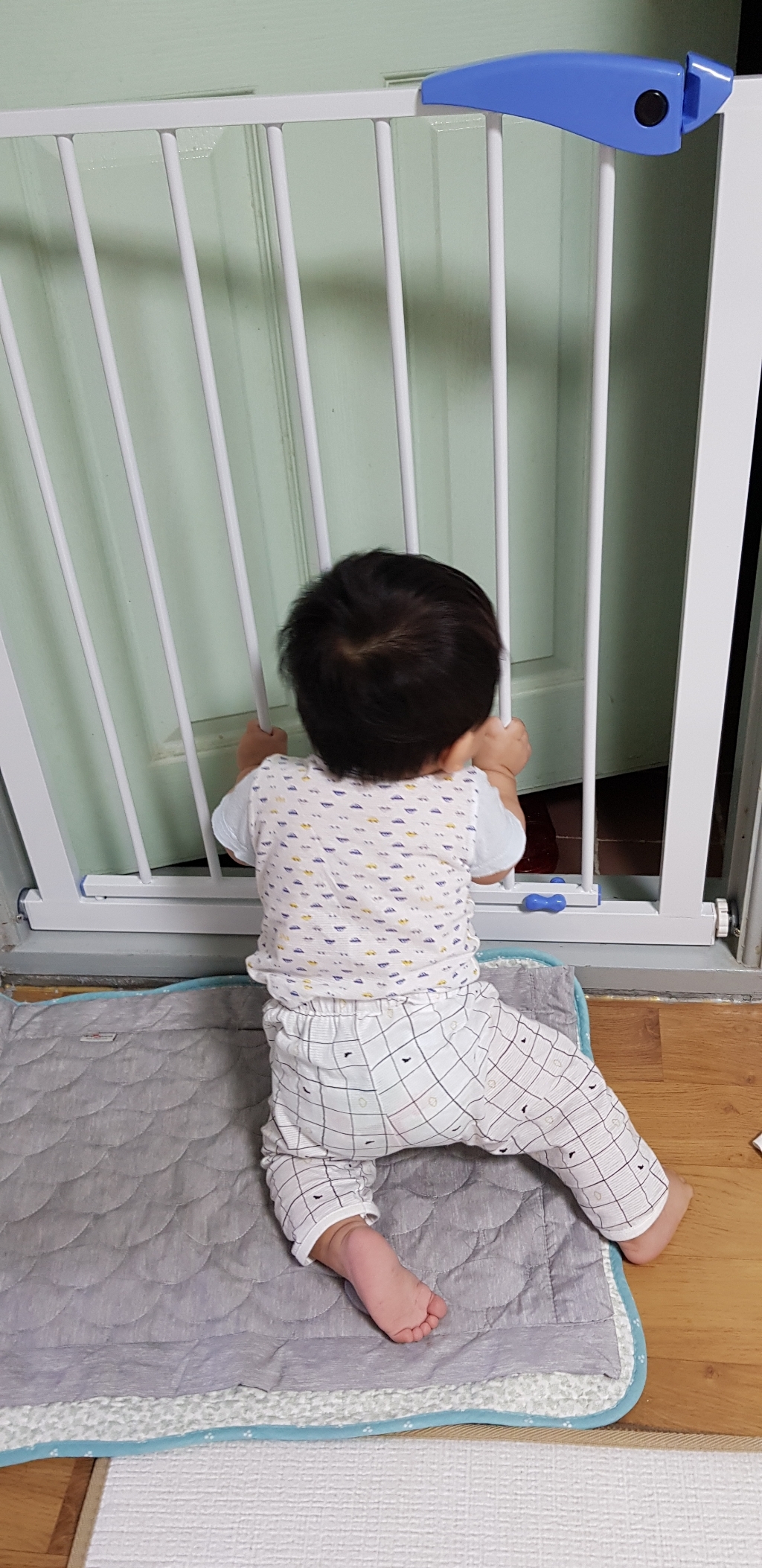 아이핏 센세이션 반자동 안전문