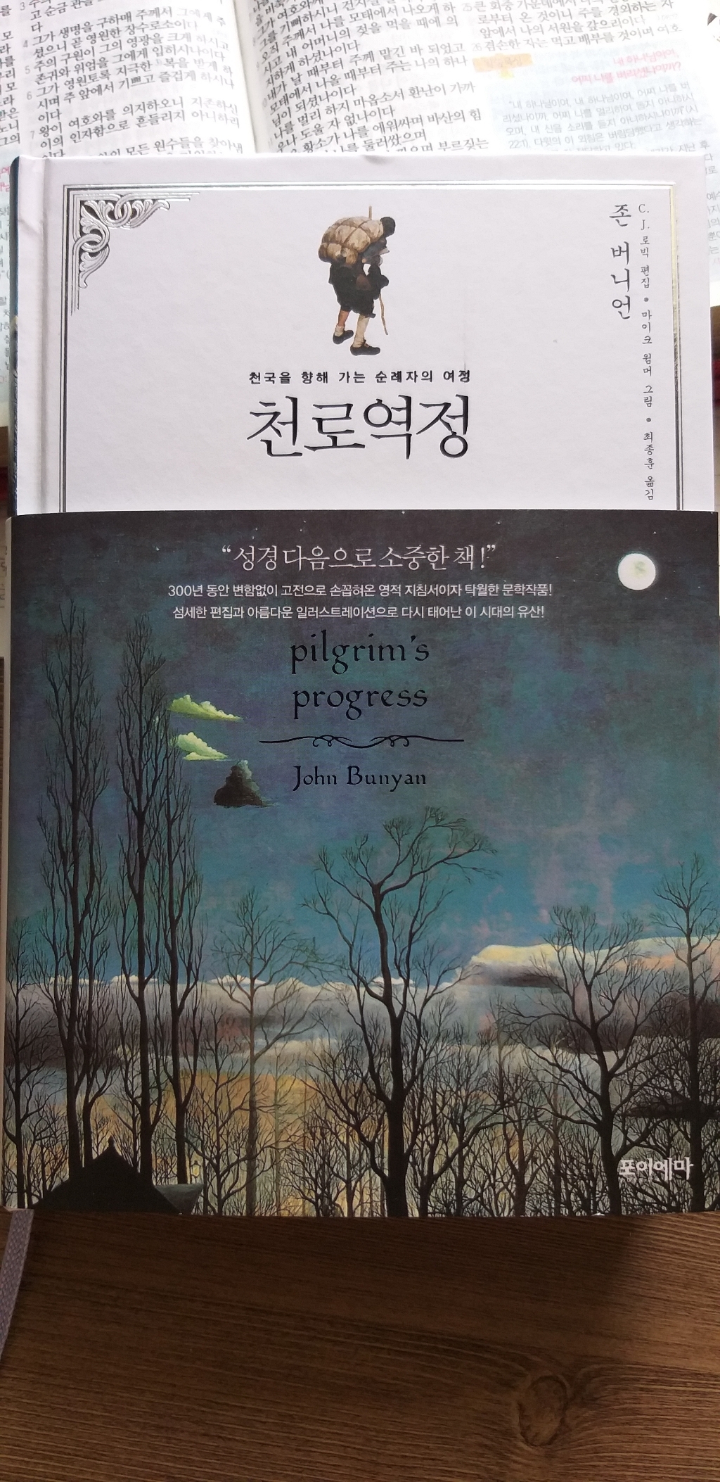 천로역정:천국을 향해 가는 순례자의 여정 리뷰 후기
