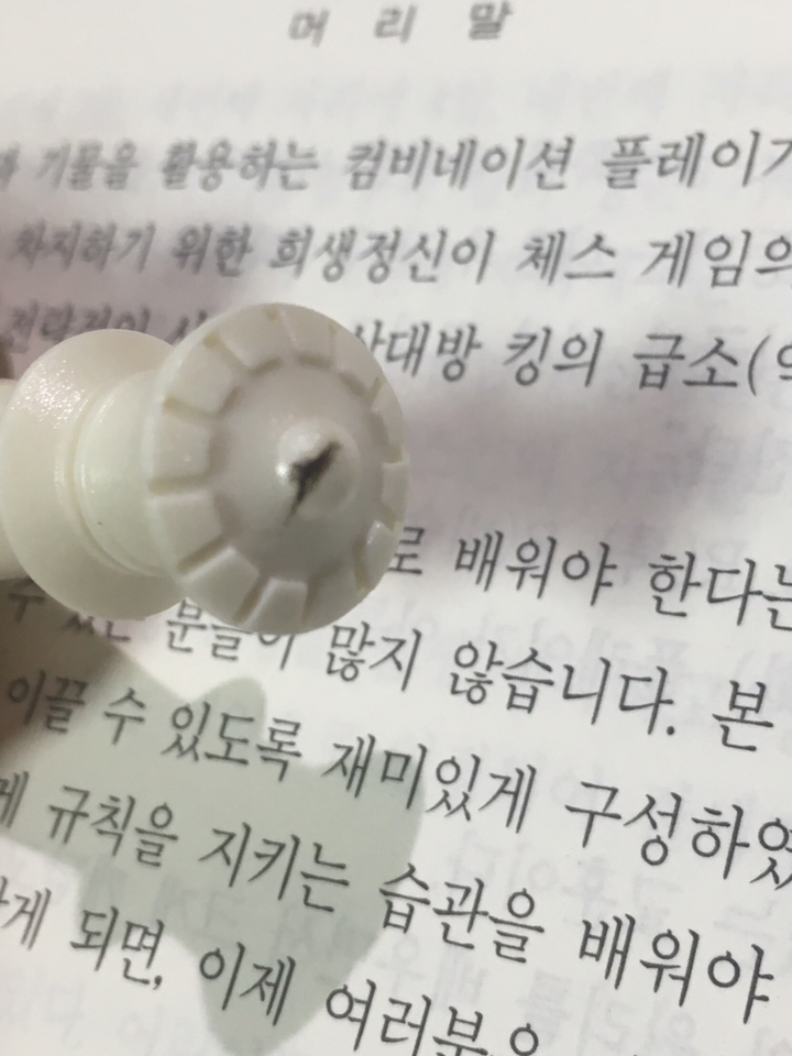명인랜드 중형 자석 체스 단면 -210