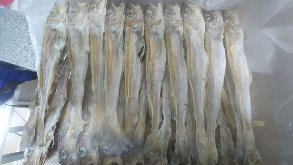 건어물도매몰 대구줄노가리 2줄 40마리 중자 대자 특자 리뷰후기