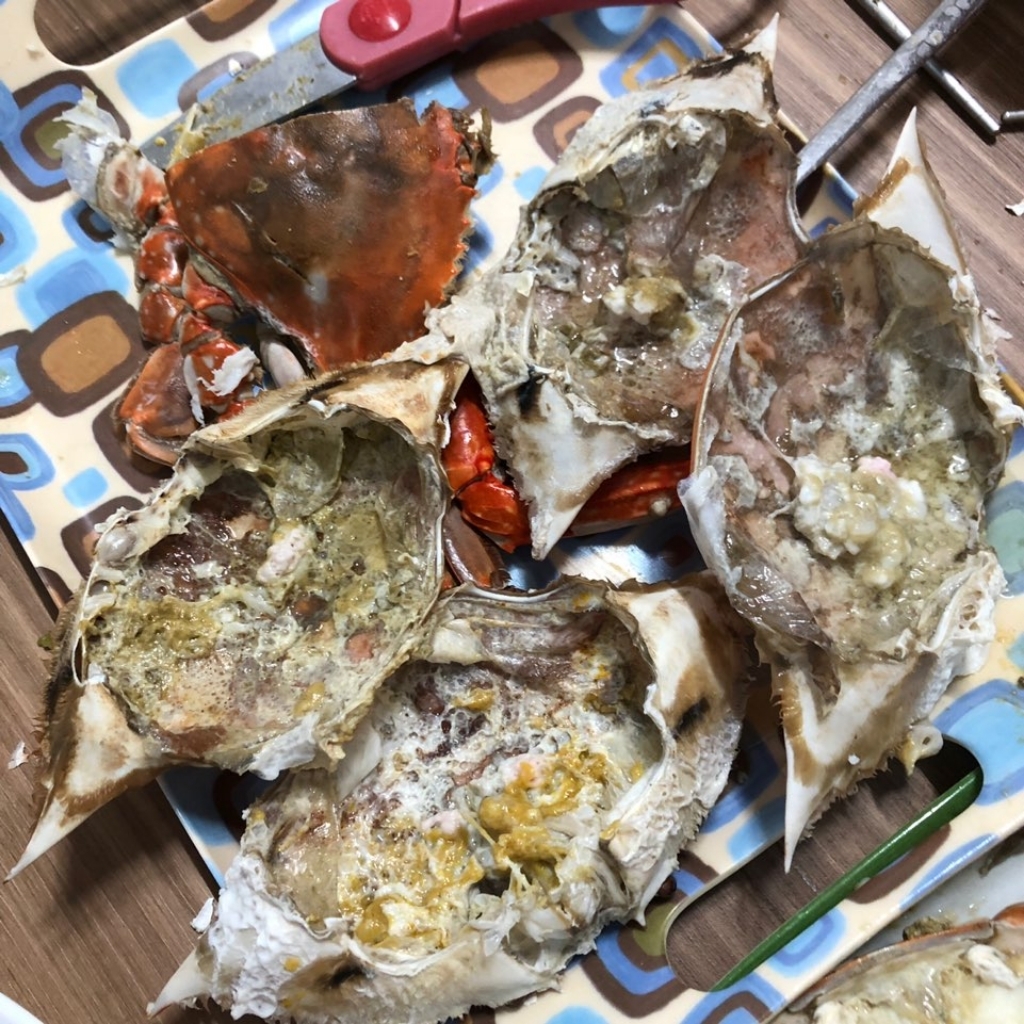태안 준이네 당일조업 생물 신진도 산지직송 리뷰후기