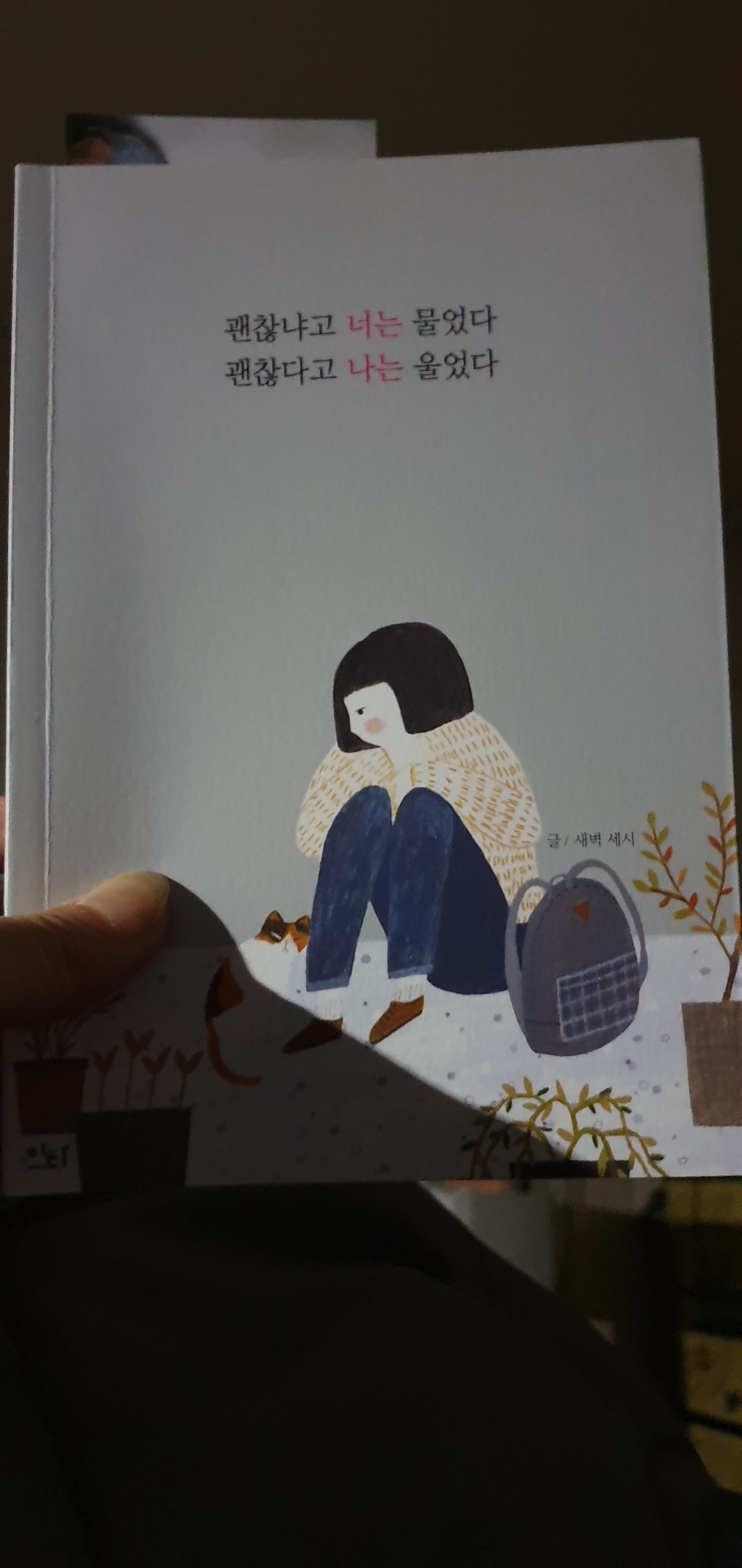 괜찮냐고 너는 물었다 괜찮다고 나는 울었다