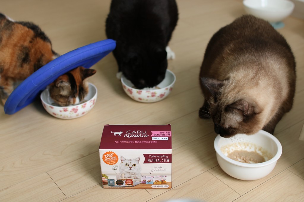 카루 클래식 버라이어티  고양이 습식사료 4종