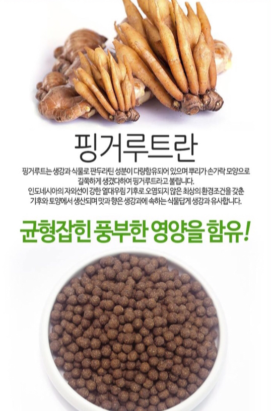 생생드림 핑거루트 환