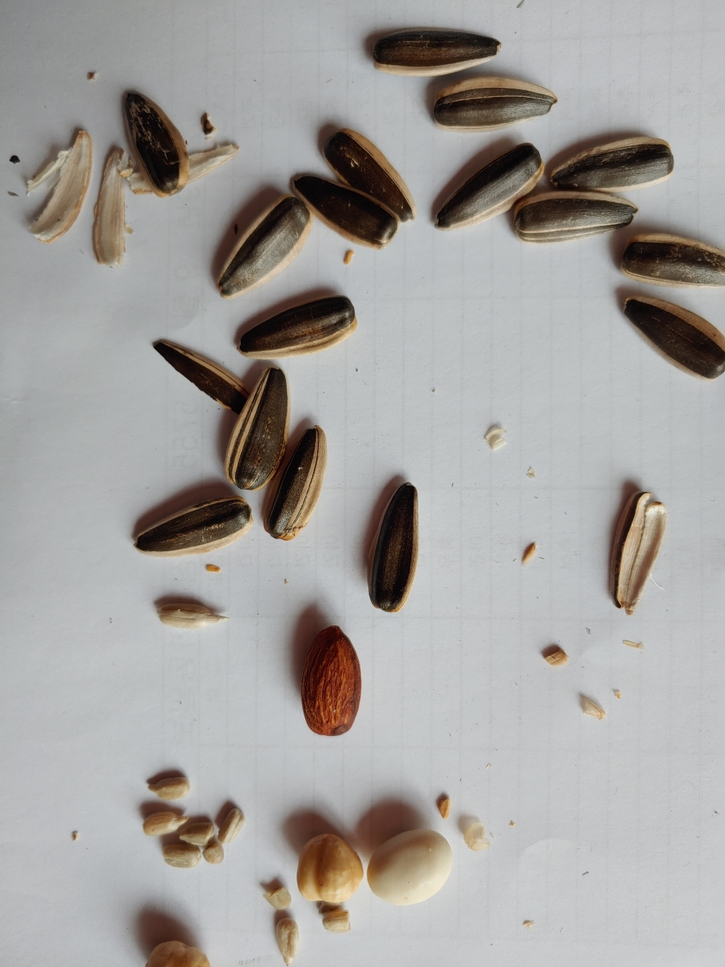 아시아푸드 볶은 해바라기씨 Roasted Sunfower Seed 견과류