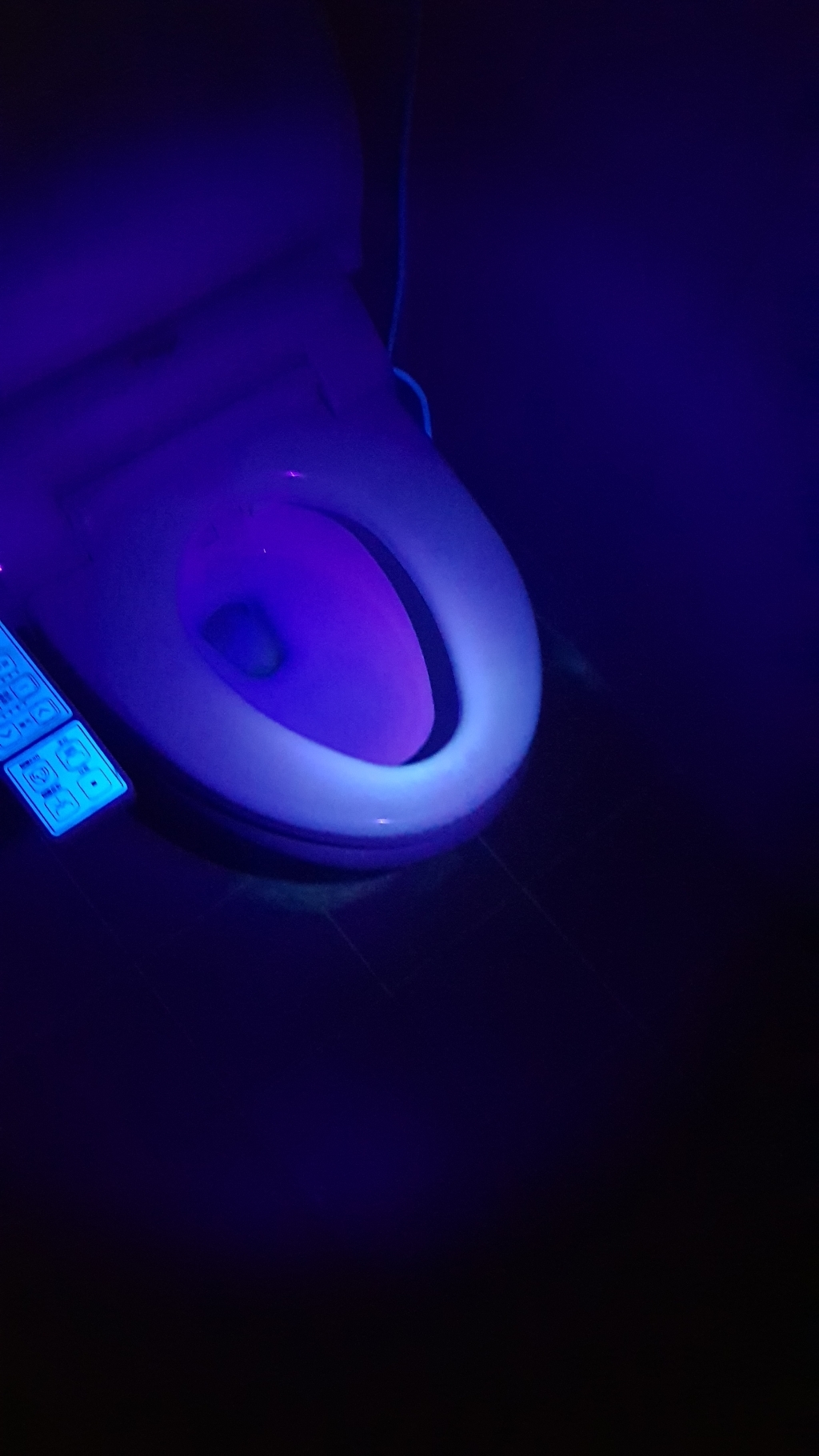 로버스트 블랙라이트 자외선램프 펜타입 UV -395