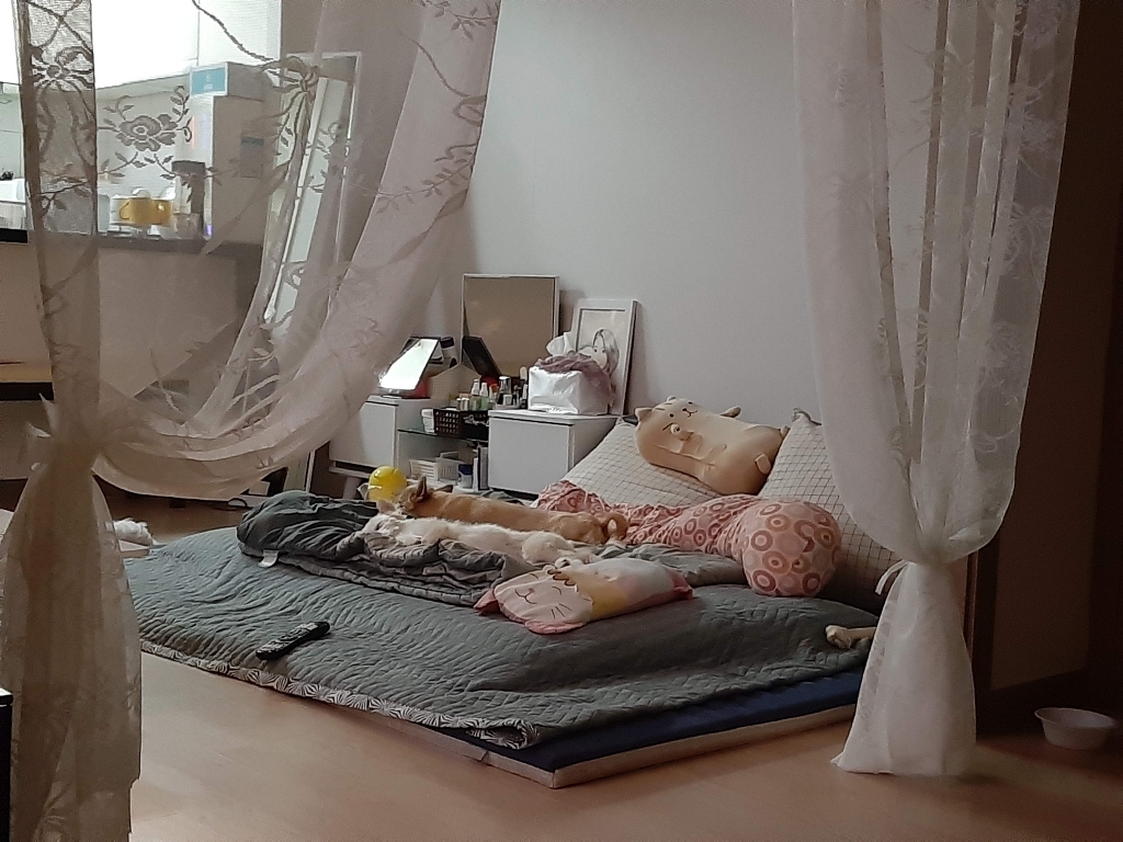 포그난 펀칭형 레이스 커튼 리본타이 리뷰 후기