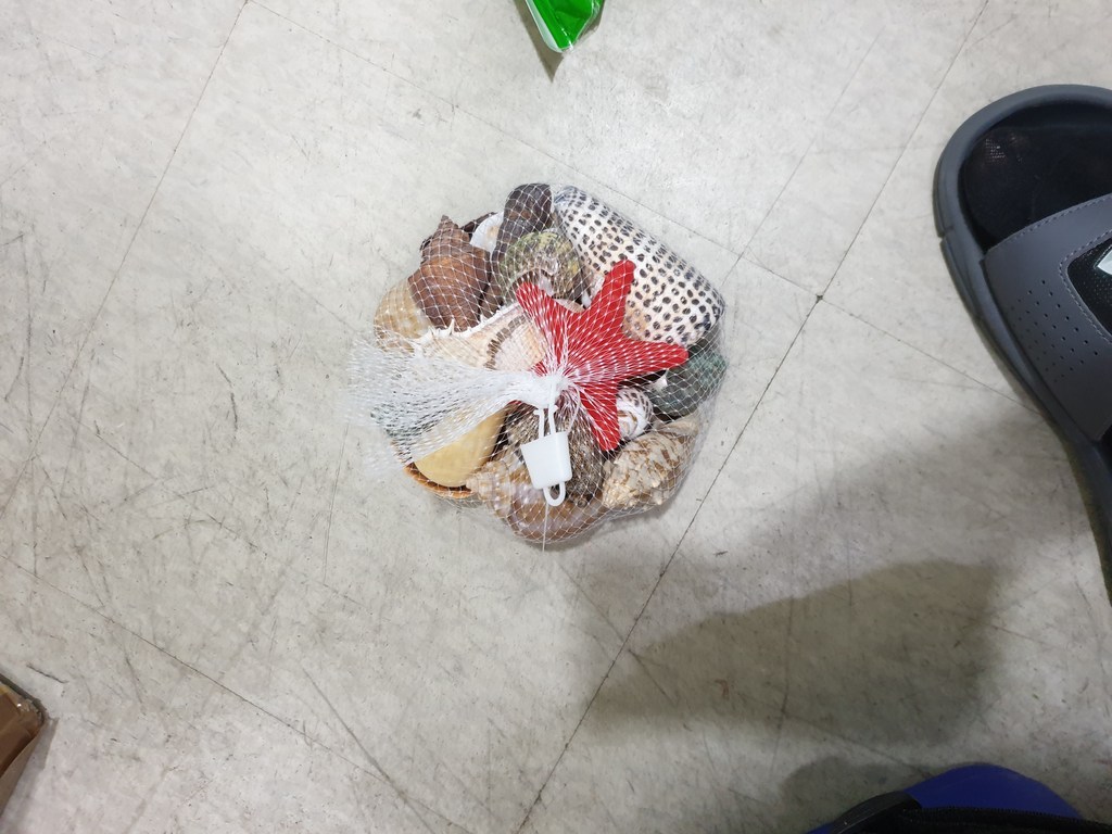 데코짱 소라조개 보따리