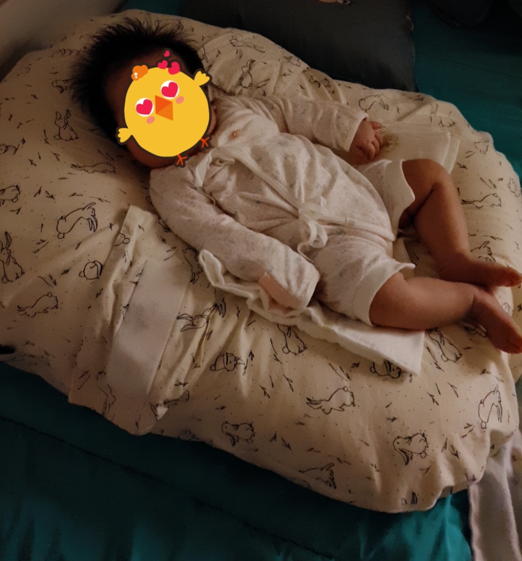 제이앤제나 역류방지 쿠션커버 쿠션솜