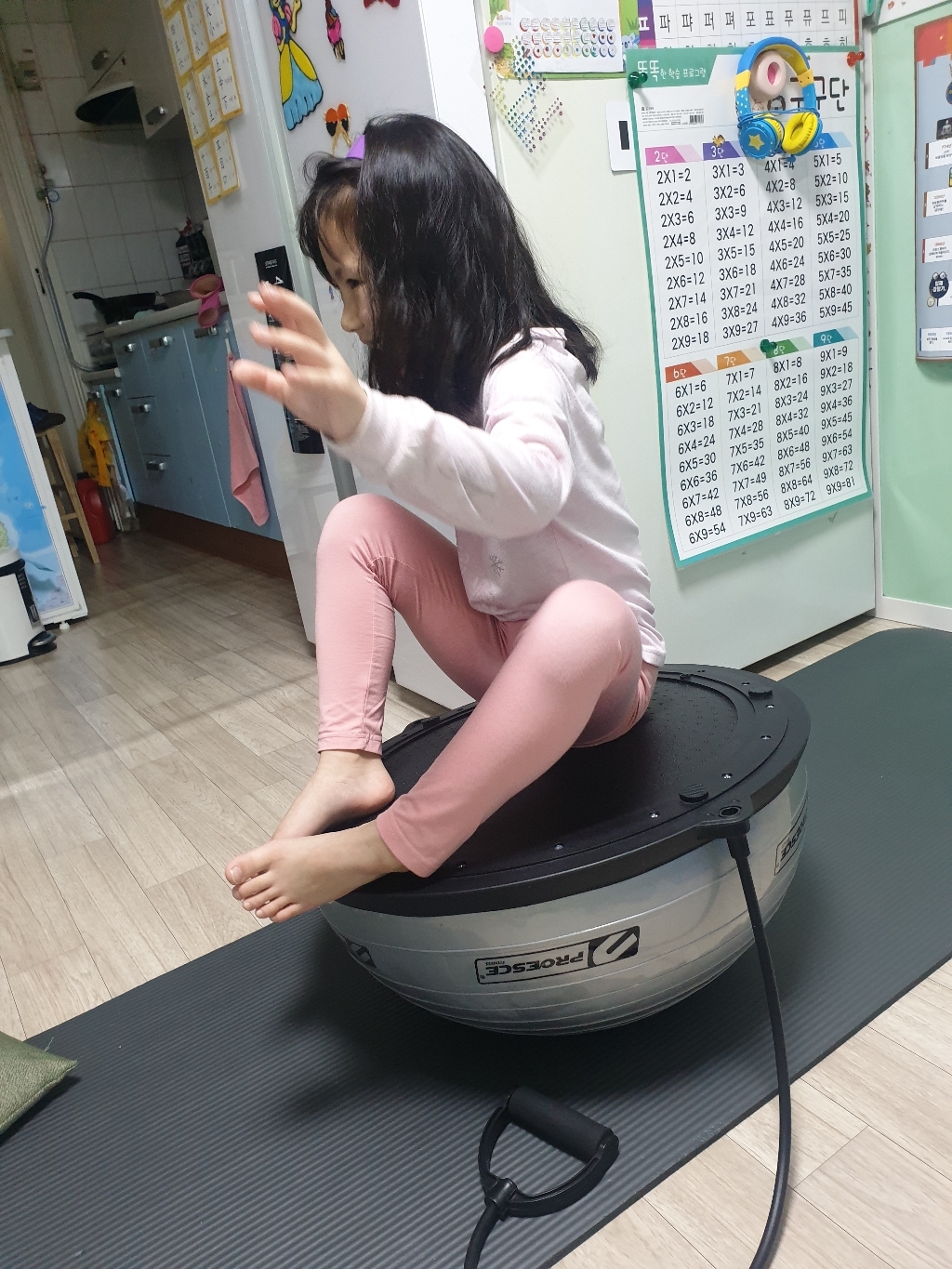 프로이스 보수 돔볼 리뷰후기