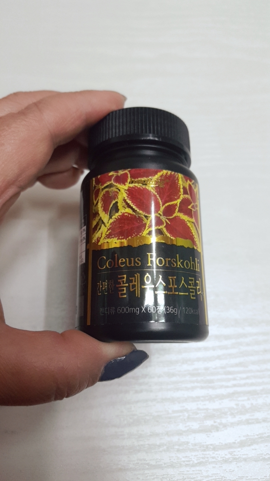 힐링 간편한 콜레우스포스콜리