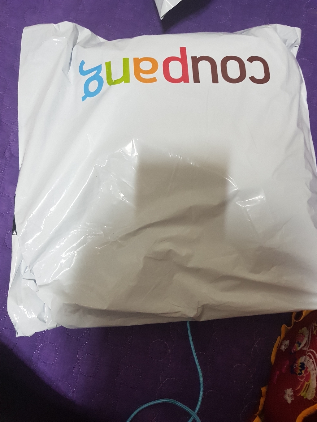 메디플라워 모델링 파파인효소