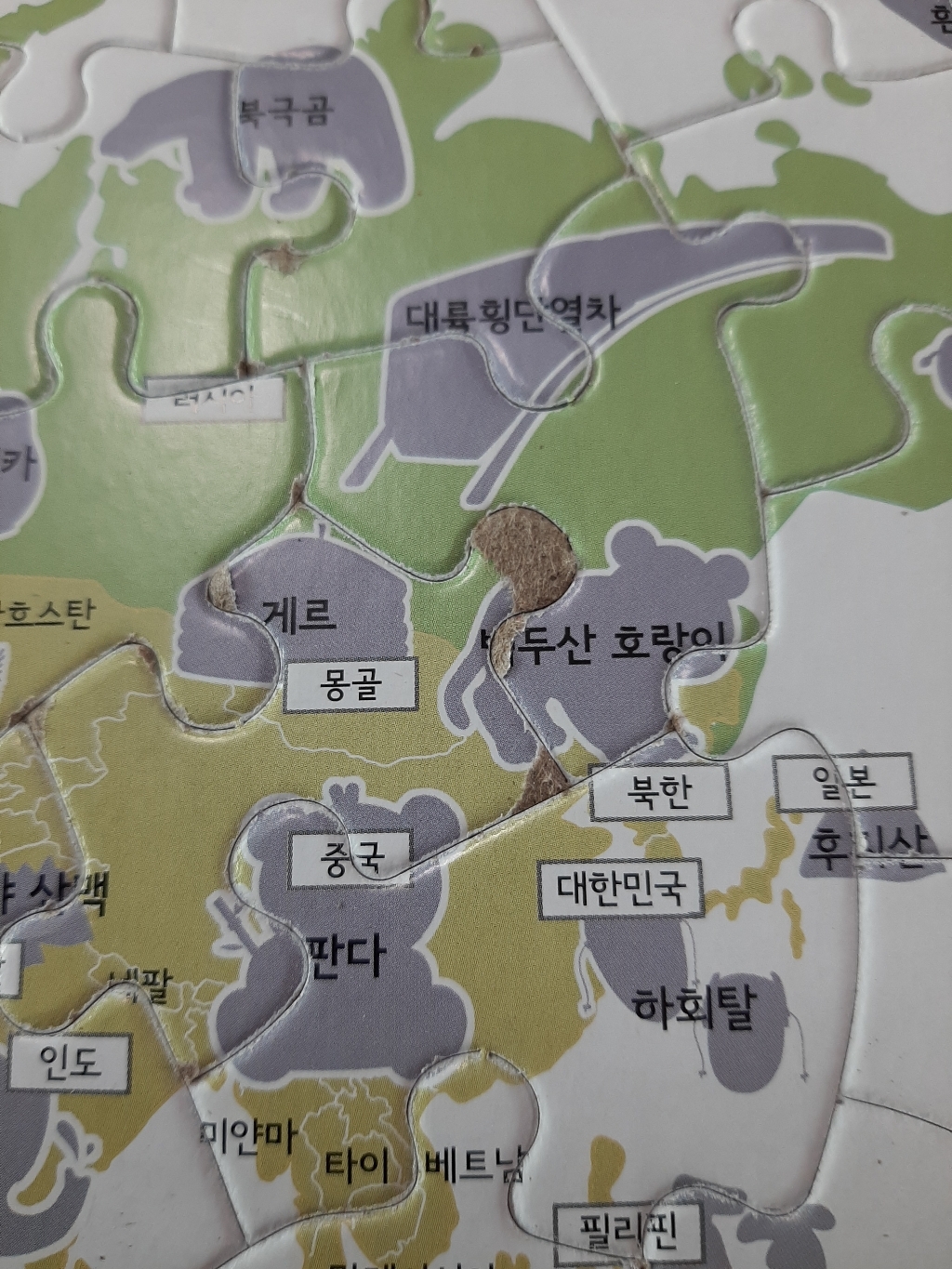 월드베스트 EQ IQ 우리나라 세계여행 판퍼즐 2종 1세트 리뷰후기