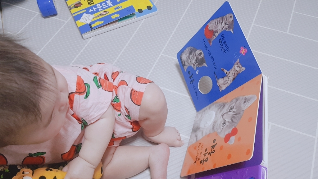 강아지는 멍멍 오리는 꽥꽥 부릉부릉 탈것 사운드북