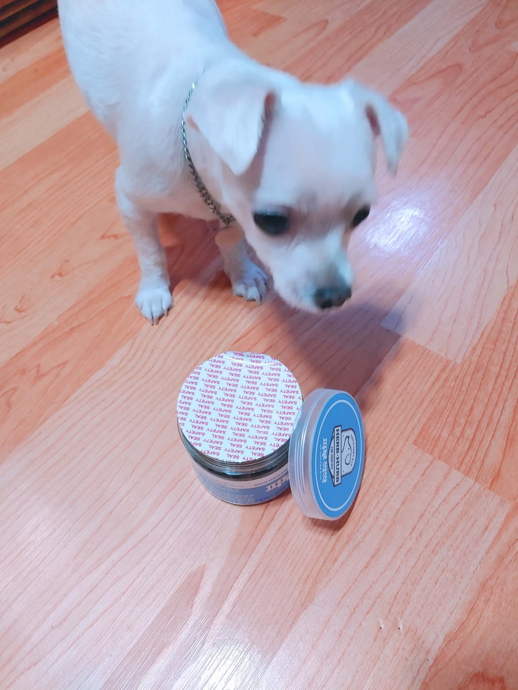 피부싹싹 CEAN SKIN 반려견 피부건강 도움 영양제