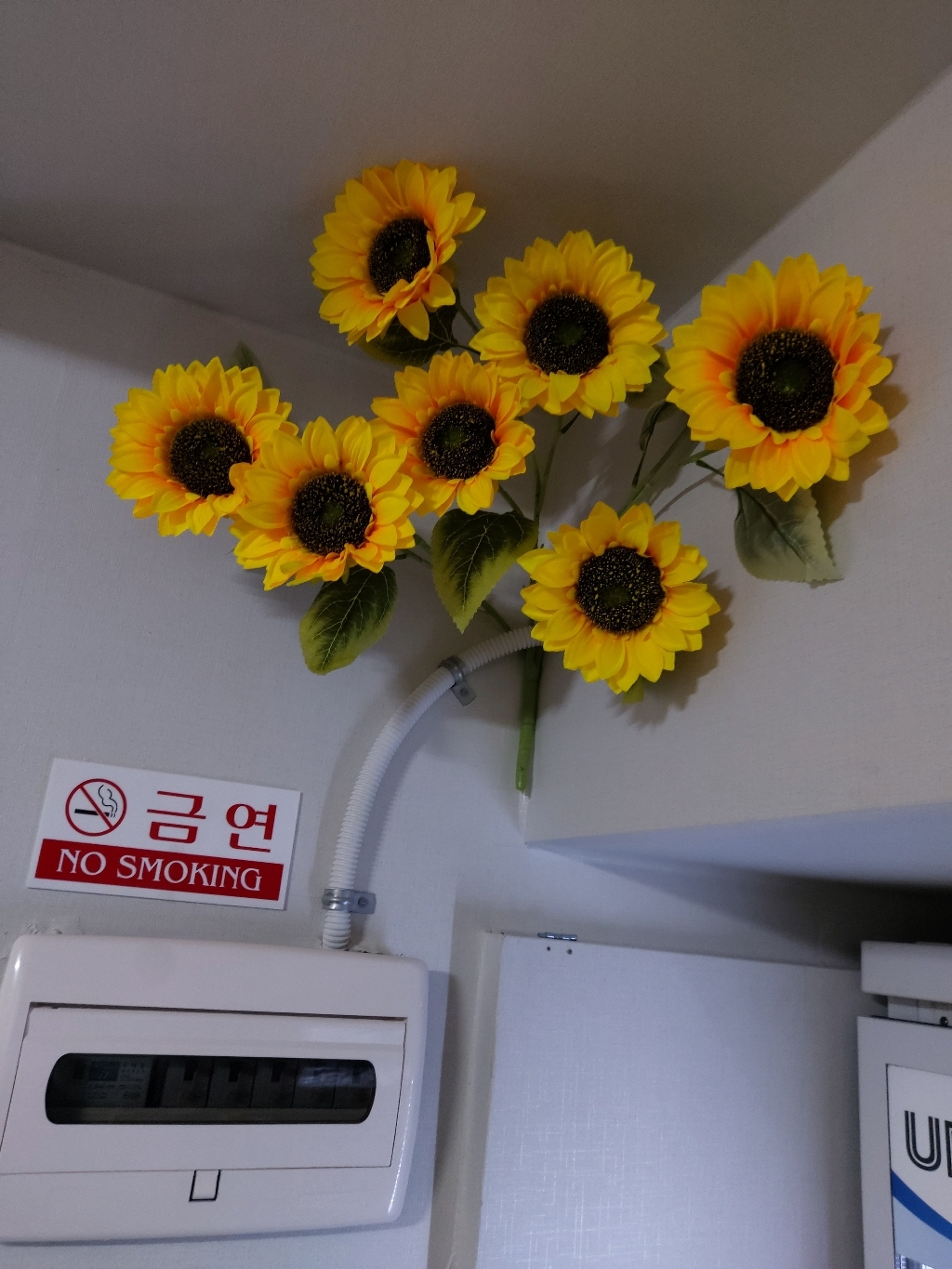 마켓블루 조화 해바라기 리뷰후기