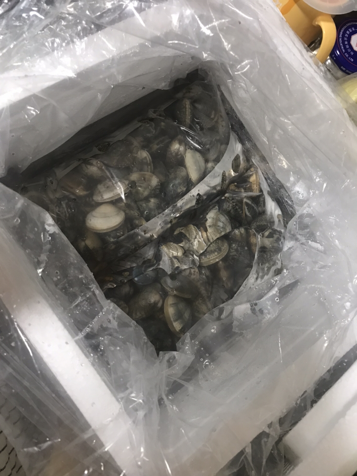 바지락총각 고창 바지락 해감완료