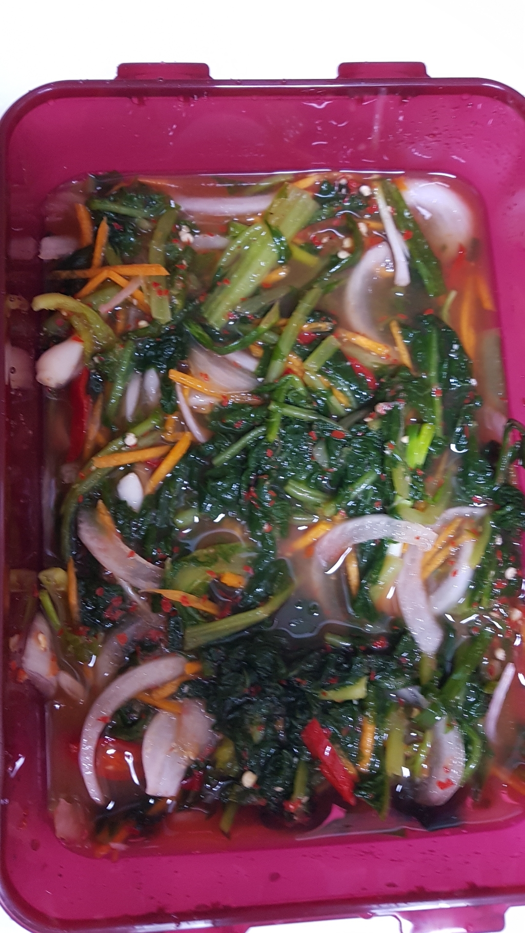 락앤락 플라스틱 직사각 원핸들 김치통 H890WN