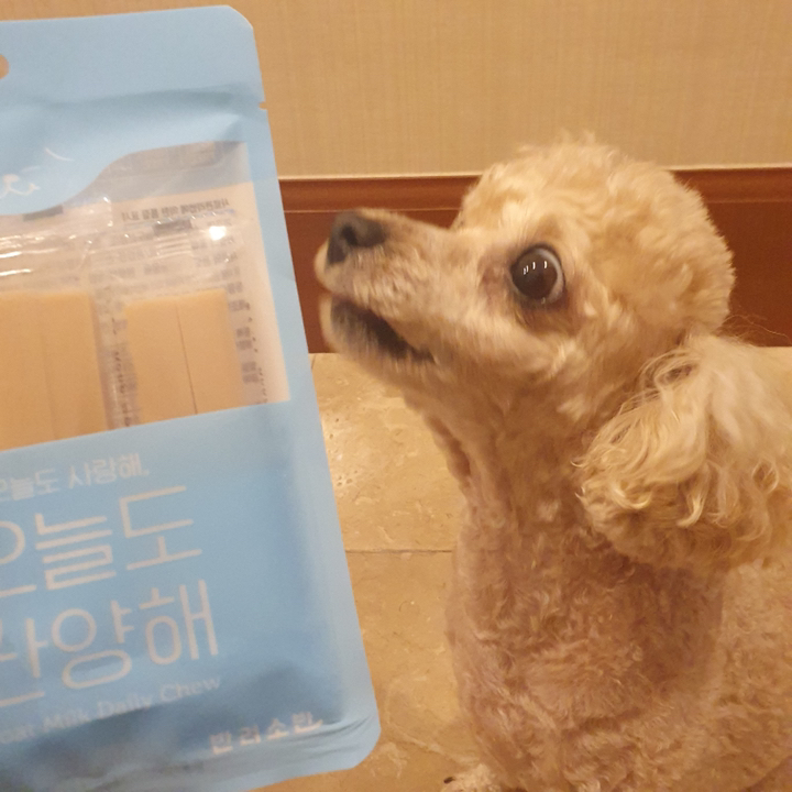 반려소반 오늘도 산양해 강아지 간식 리뷰후기