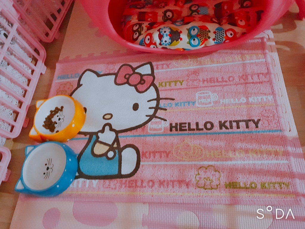 ETSTEE 반려동물 스마일캣 펫볼 식기