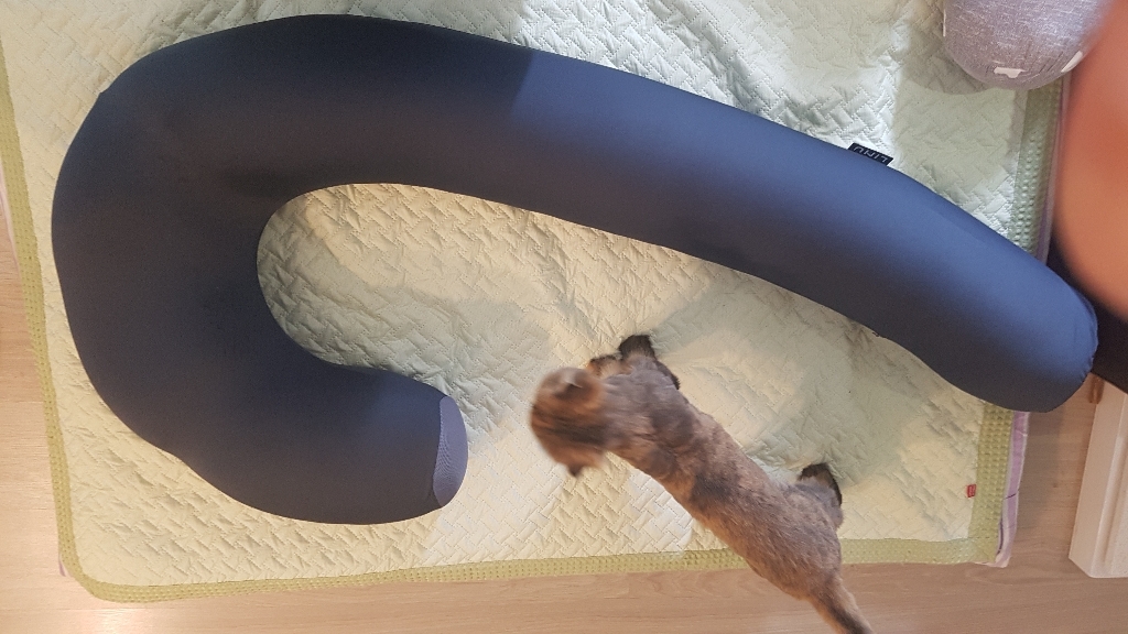INU 리누 꿀밤 바디필로우 자 뚱 롱 사이즈