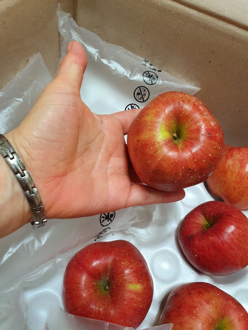 바른팜 아삭아삭 맛있는 사과 리뷰후기