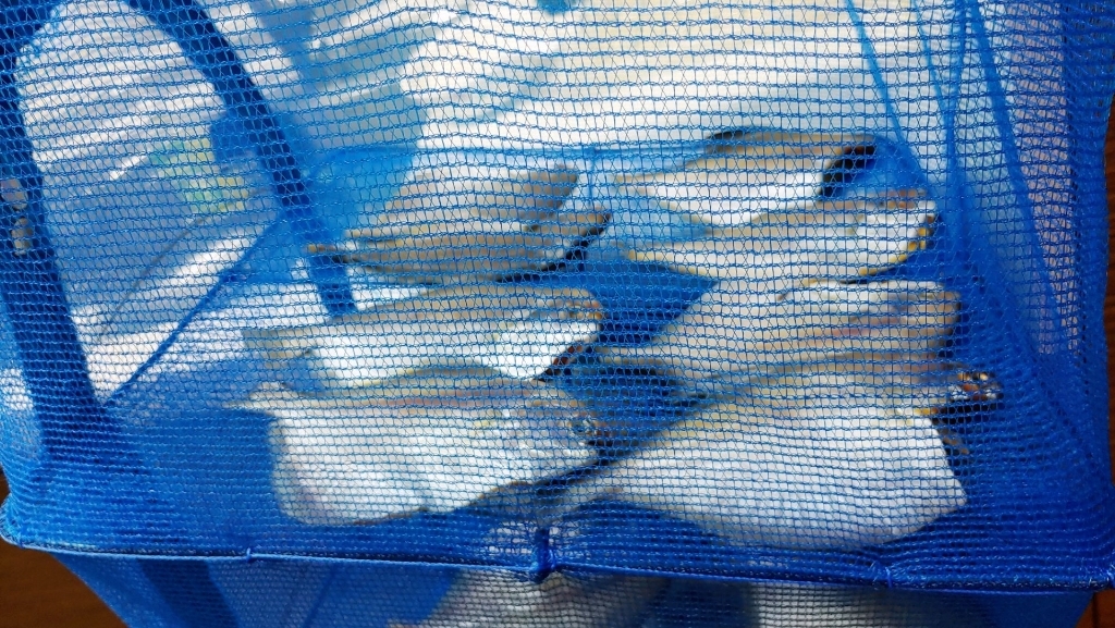 한반도철망 건조망 캠핑용품 S자고리무료증정