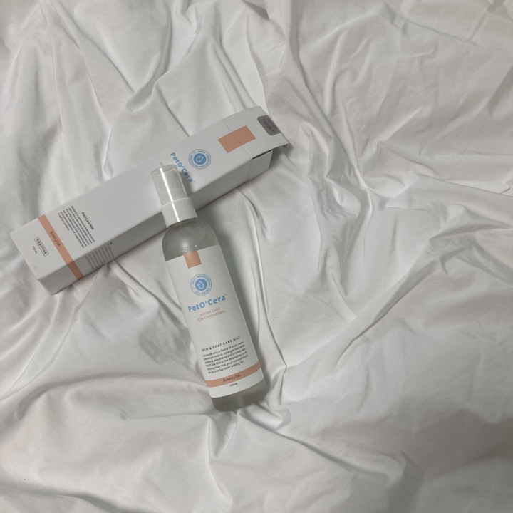 브리지테일 반려동물 페토세라 미스트 리뷰후기
