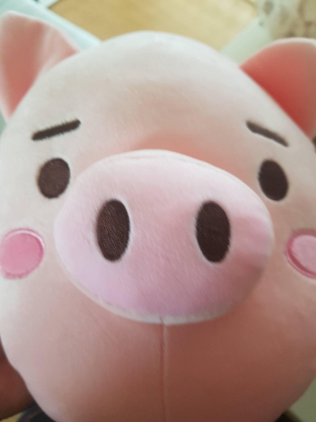 조우니 모찌 피그 인형쿠션