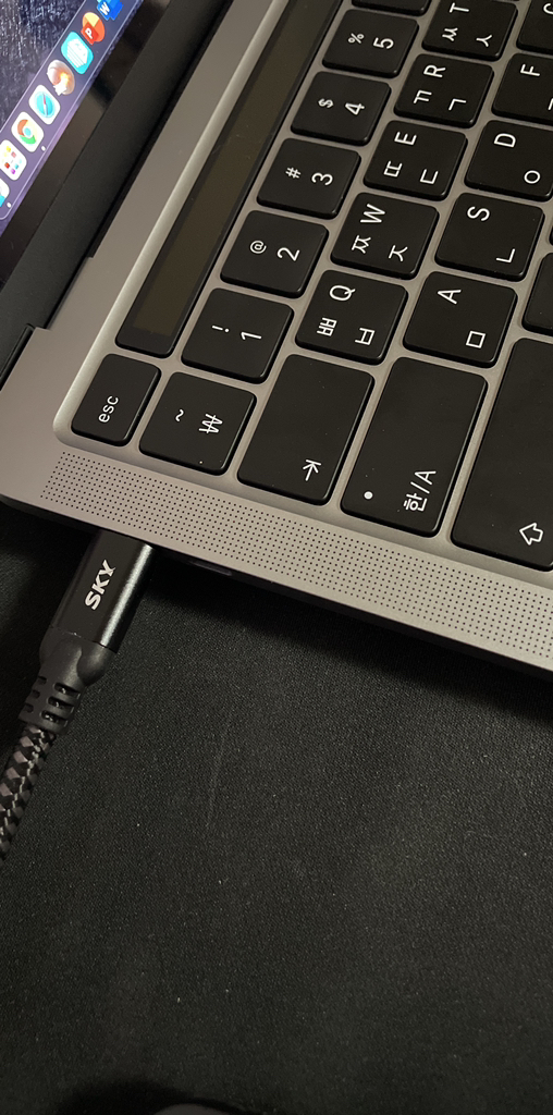 스카이 USB-D 고속충전 케이블 en2 SKY-C-CD2 100W
