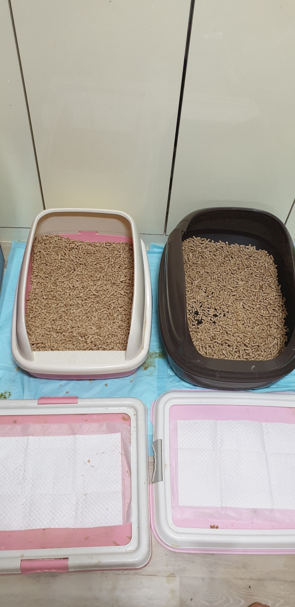 화분월드 숲속애 미송펠렛 35L 리뷰후기