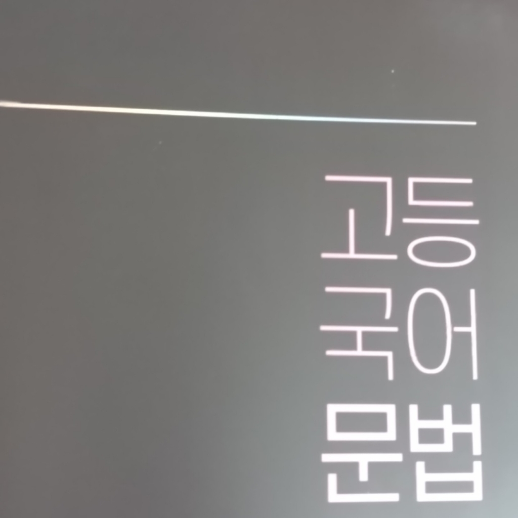 빠작 고등 국어 문법