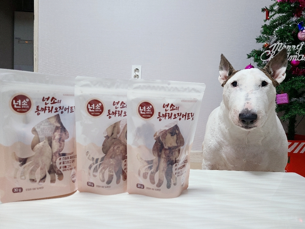 넌소의 통마리 트릿 고양이 동결 건조 간식 오징어