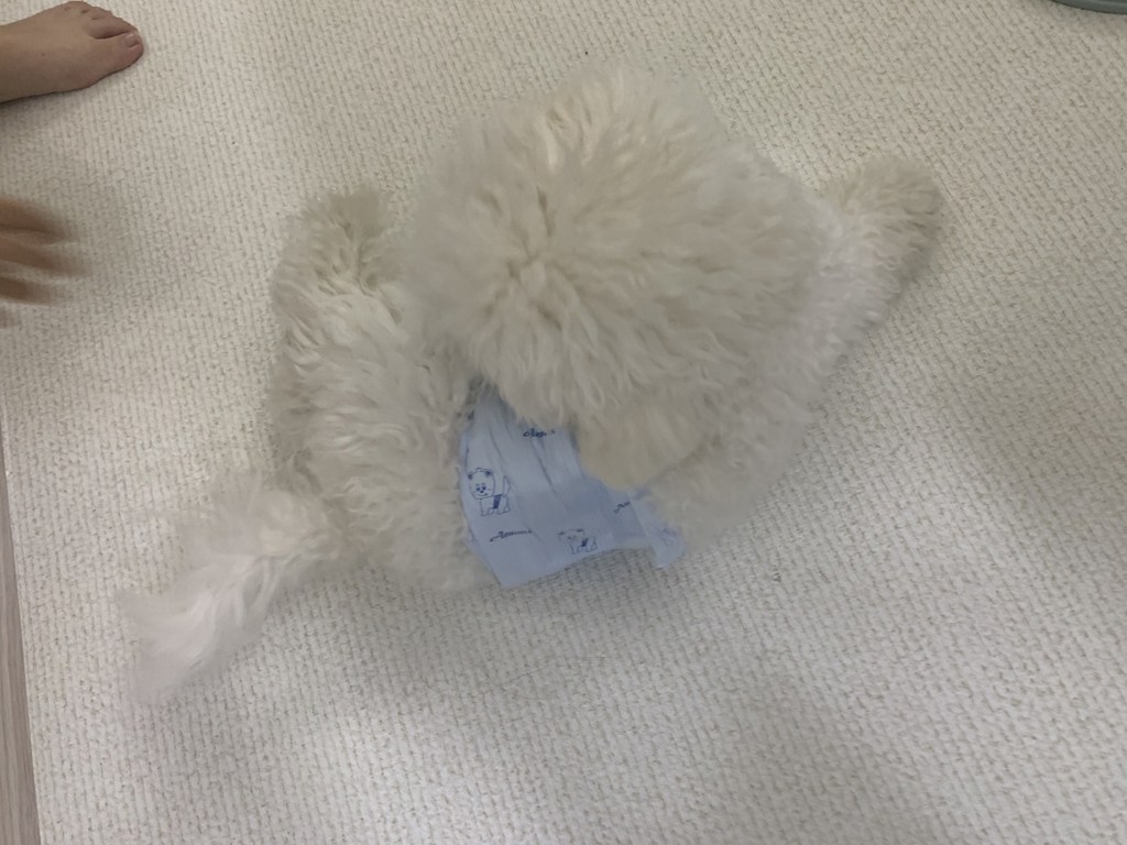아몬스 프리미엄 수컷용 기저귀 리뷰후기
