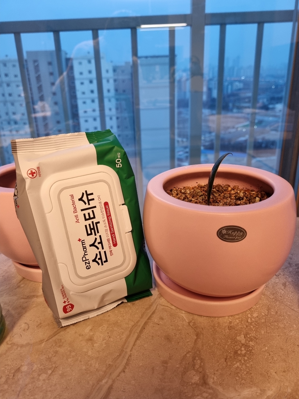도시정원 모던 반구 도자기 화분