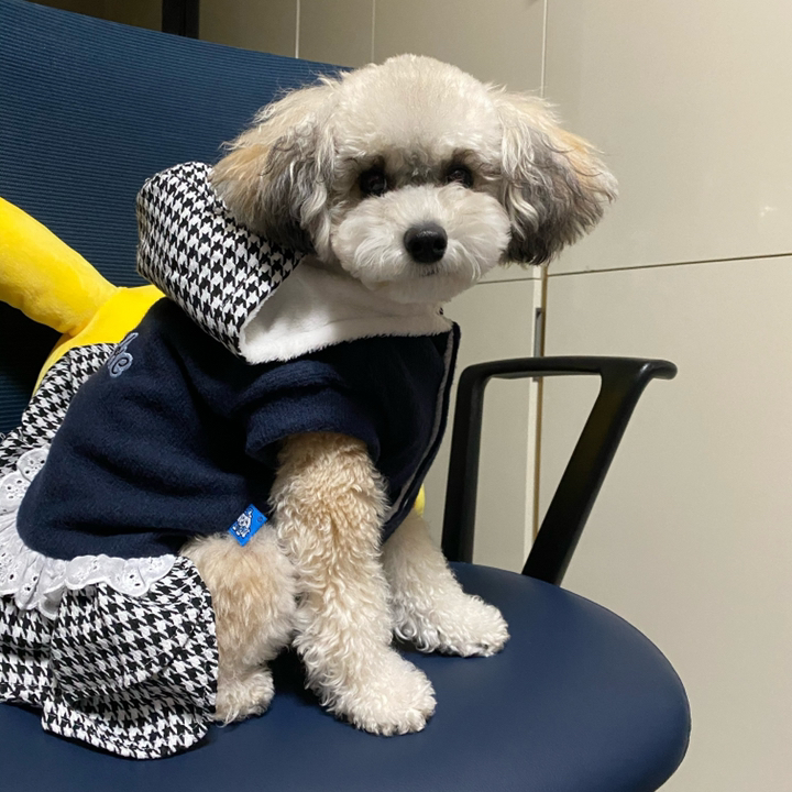 펫츠랜드 강아지 스위트체크 원피스