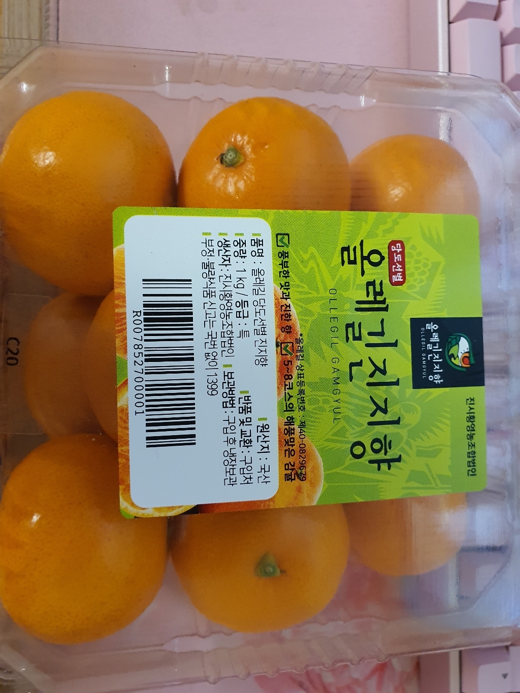 올레길감귤 당도선별 진지향