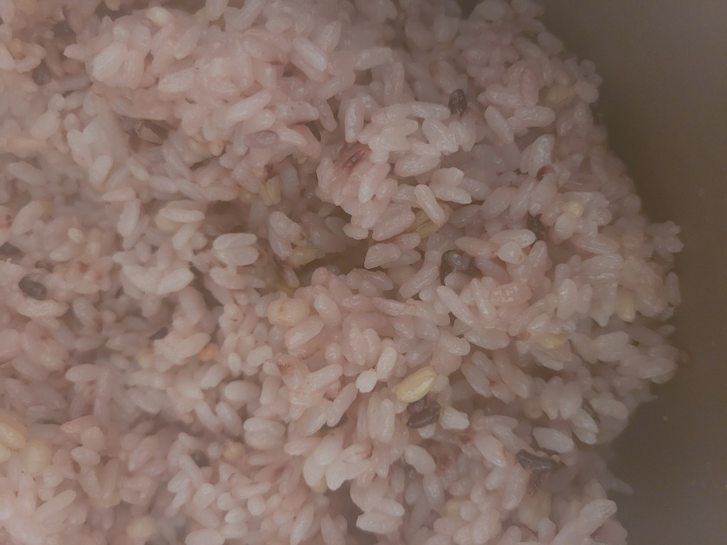 월드그린 부드러운 칼집찰흑미