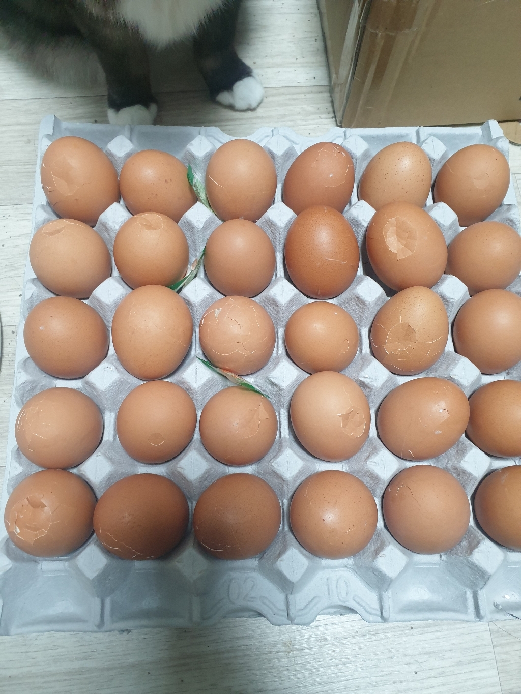 대한식품 무항생제 반숙란 반숙계란 60구 2판 리뷰 후기