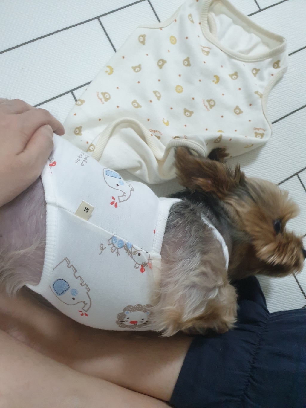오가닉 도매가 강아지옷 민소매 나시 티셔츠 3coor