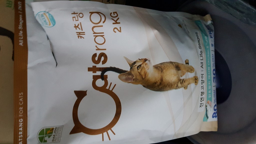 NEW 캐츠랑 대주펫푸드 고양이 사료 모음 리뷰후기