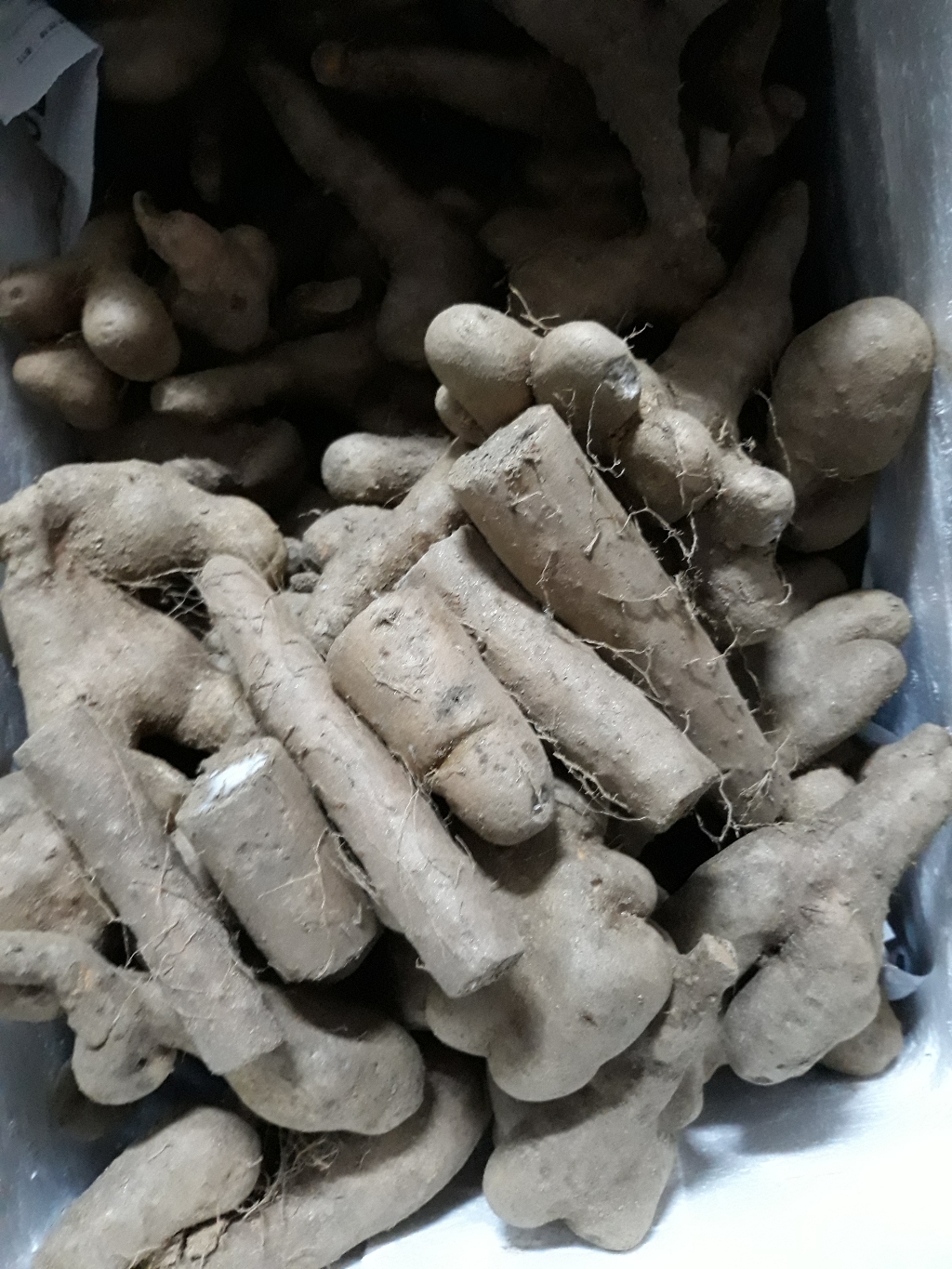 태나농장 우수농작물 마 안동마 산마 참마 산약 생마 햇마 리뷰후기