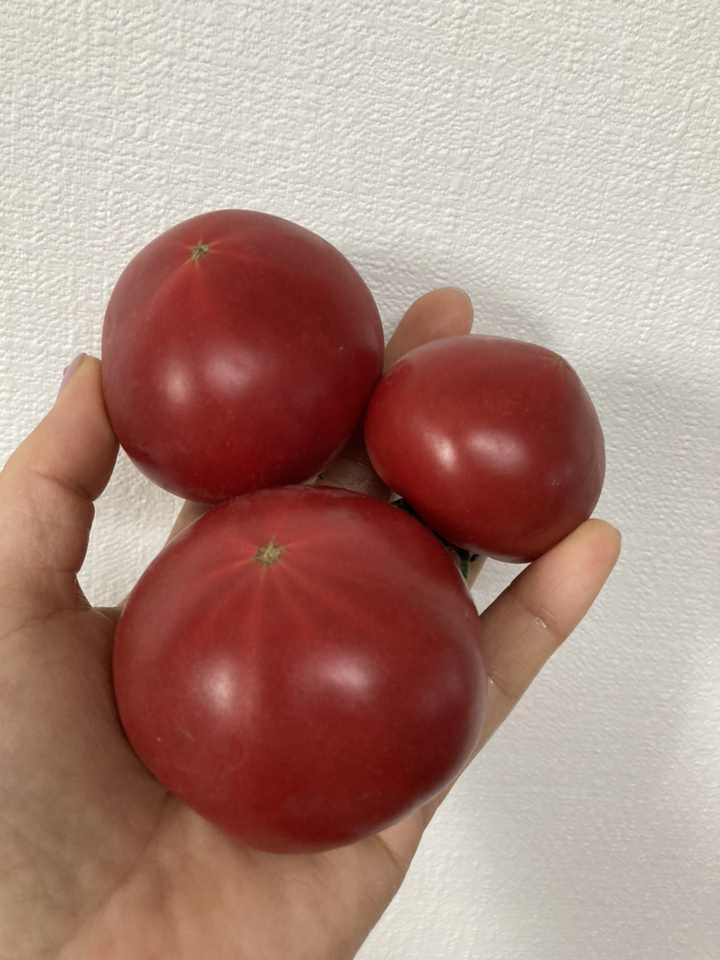 자연그램 칼슘파우더 과일세정제 2통스틱형 5포 리뷰후기