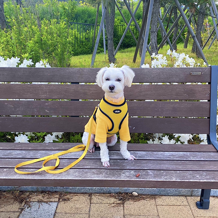 올치 야간 빛 반사 콤비 하네스 A 강아지 산책 목줄 리드 M 리뷰후기