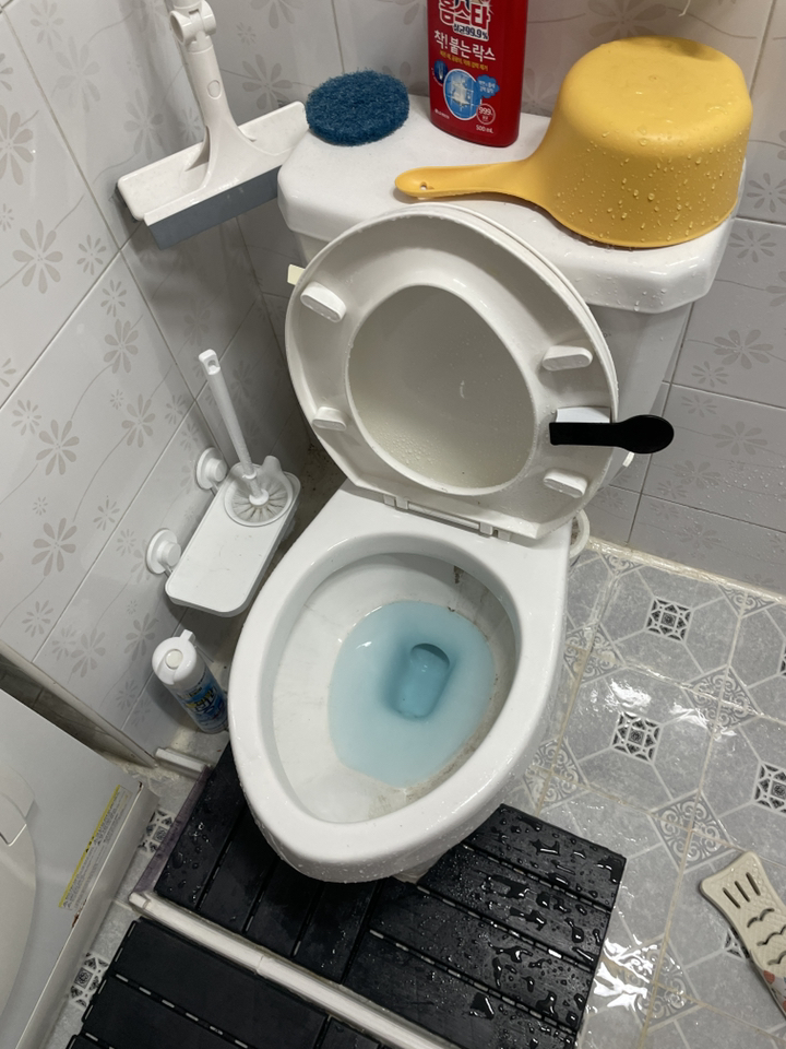 이지드롭 일회용 변기크리너 핸들 리필브러쉬 전용 고리 리뷰후기