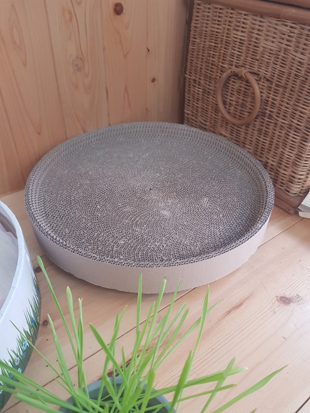 힐링타임 띵가띵가 스크래쳐 리필용 기본 리뷰후기