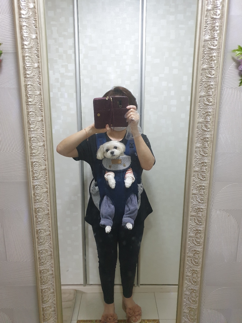 에이미러브즈펫 강아지앞가방 나라니프론트 리뷰 후기