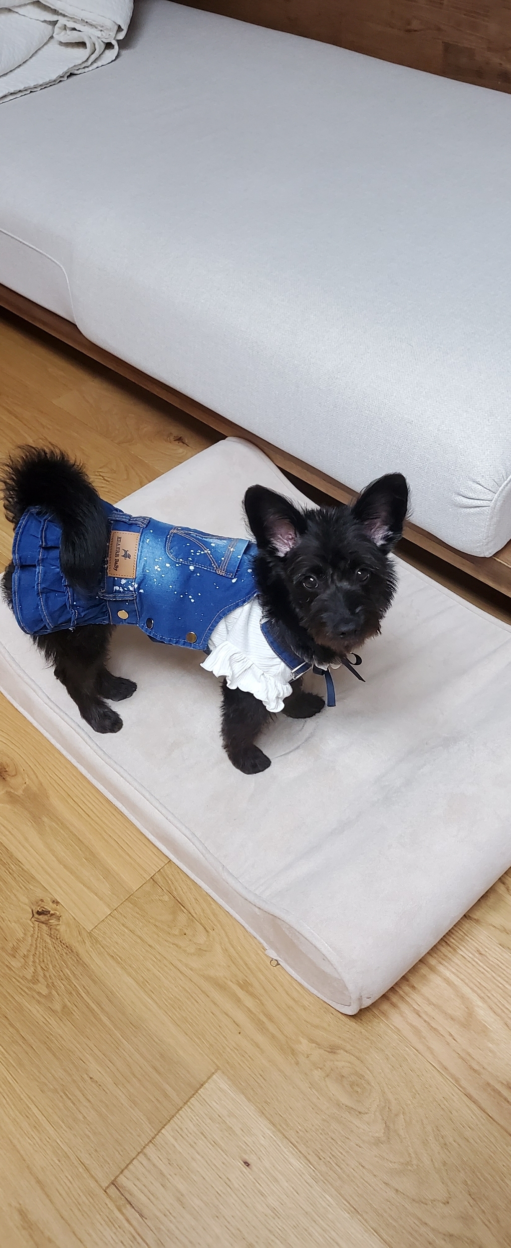 코코스튜디오 라라 데님 프릴 멜빵 치마